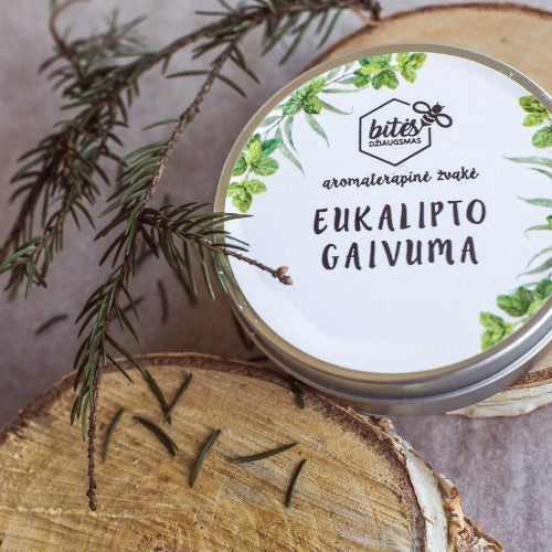 Aromaterapinė sojų vaško žvakė "Eukalipto gaivuma"