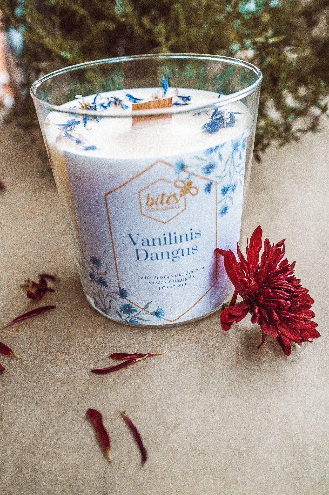 Sojų vaško žvakė "Vanilinis Dangus"